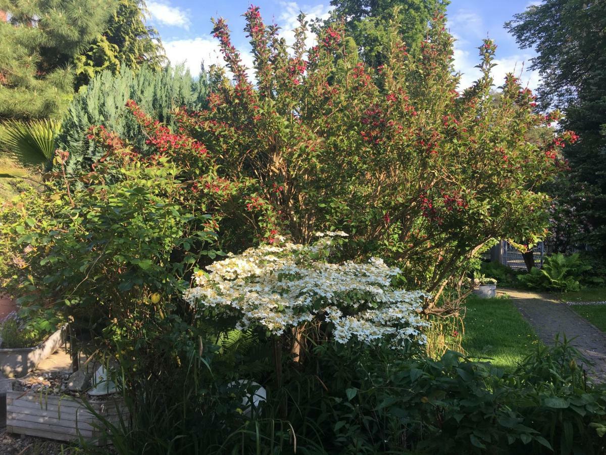 Apartment Tinyhouse Mit Pool, Outdoor Whirlpool Und Garten Petershagen-Eggersdorf Bagian luar foto